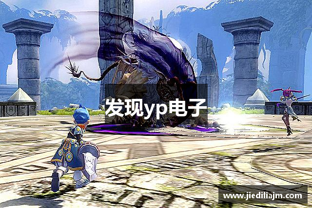 发现yp电子
